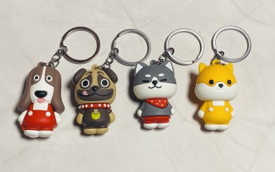 Shiba Inu has landed!